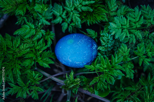 blue easter egg in gress