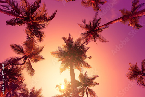 Coconut palm trees on tropical beach at vivid sunset with shining sun © nevodka.com