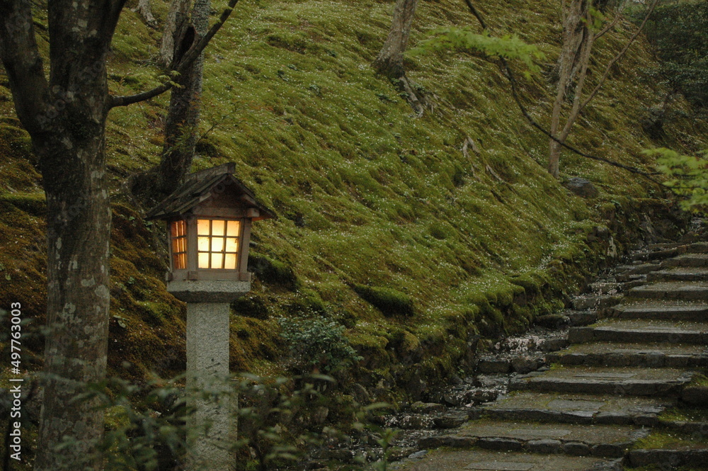 wald, moos, treppe, japan, steinlaterne, tempelanlage, shintoismis, shinto, mystisch, weg, aufgang, kyoto, pilgerweg wald, moos, treppe, japan, steinlaterne, tempelanlage, shintoismis, shinto, mystisch, weg, aufgang, kyoto, pilgerweg