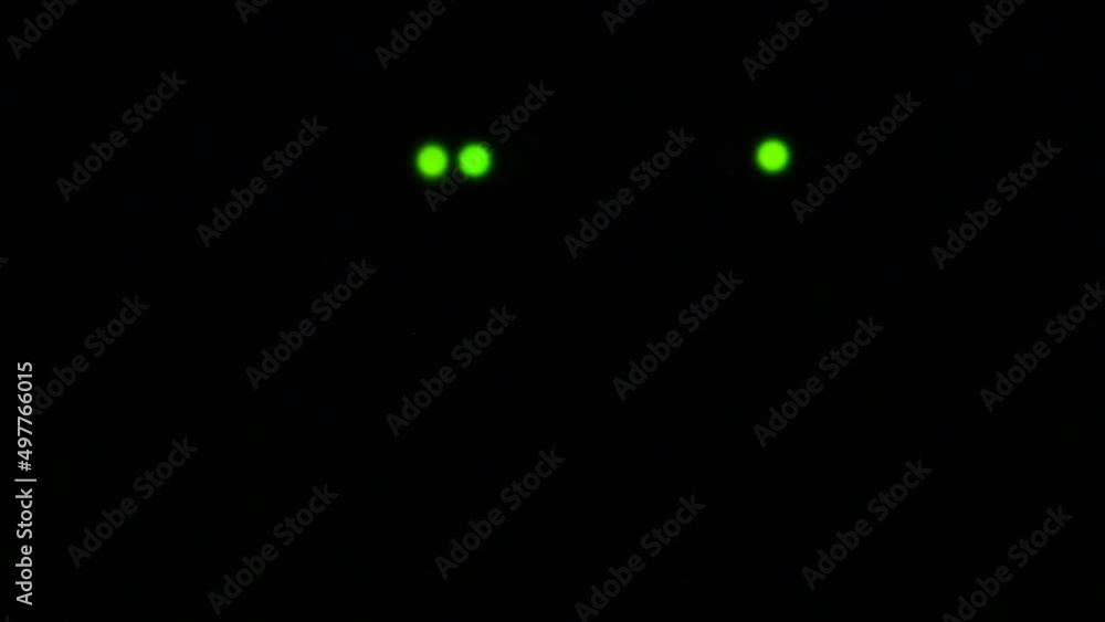 WiFi router or modem light blinking. Wireless connection