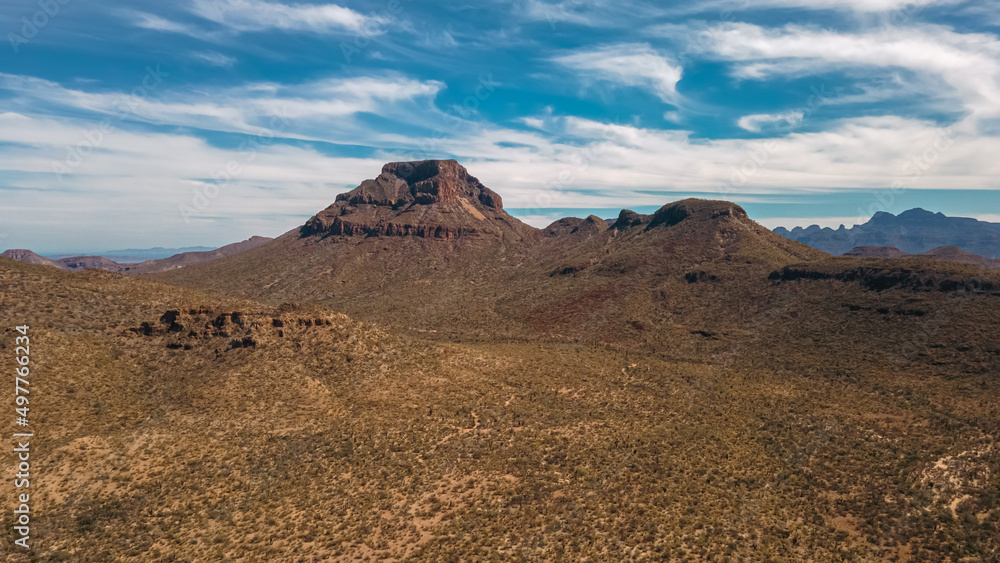 Cactus and Mountain Landscape in Baja California, Mexico. Aerial View