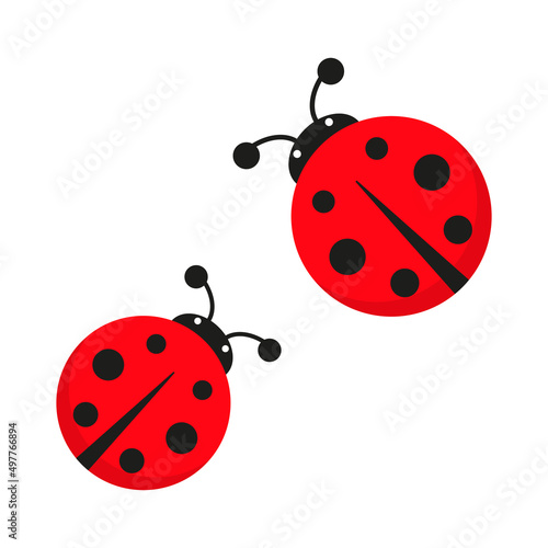 Ladybug cute character set. Red tiny ladybirds group. Vector isolated on white.