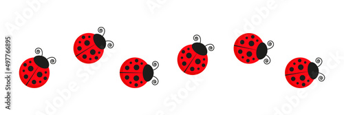 Ladybugs line icon group. Cute ladybirds set. Vector illustration isolated on white.