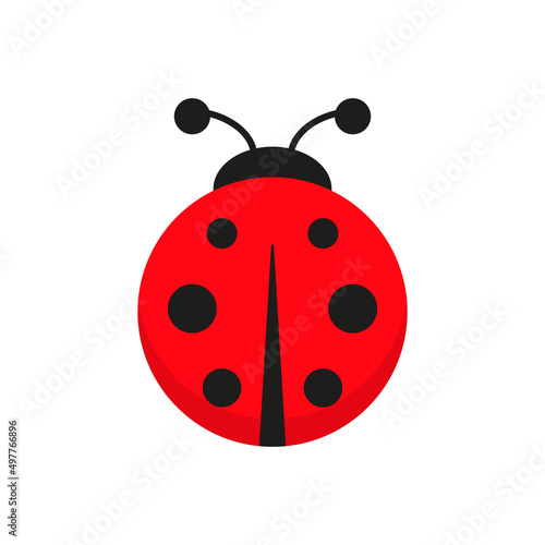Ladybug cute character. Little red ladybird. Vector isolated on white.
