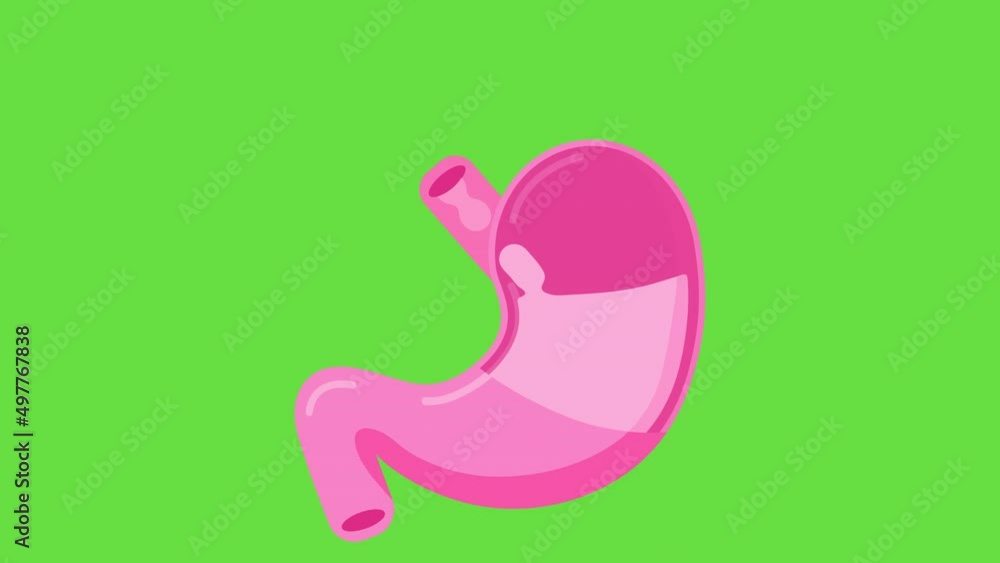 4k video of cartoon pink stomach on green background. 4k video of cartoon pink stomach on green background.