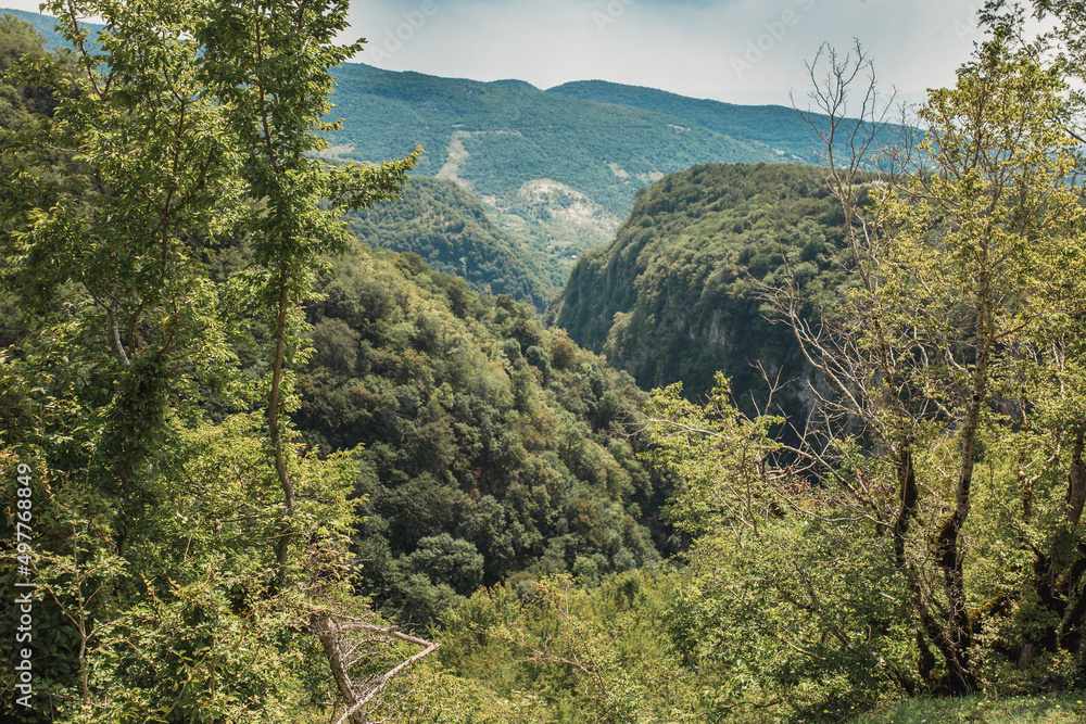 Naklejka premium Mountain forest at the foot of the Caucasus - tourist route