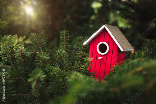 Fotografia Red wooden birdhouse in dense pine branches - birds nest