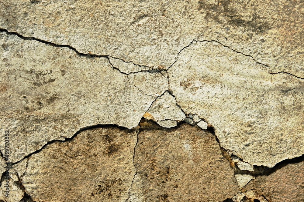 Fototapeta premium texture of floor