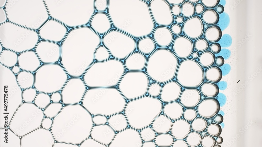 Fototapeta premium Blue liquid flows between different sized grey bubbles joined in cells filling the space among them on pale grey background