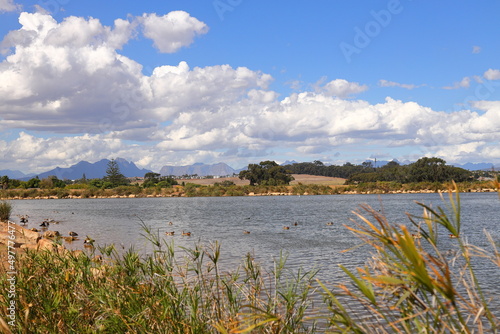 A view over a dam in Durbanville  near Cape Town  South Africa.