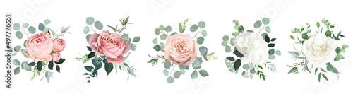 Blush pink garden roses, white hydrangea flowers, eucalyptus vector design bouquets