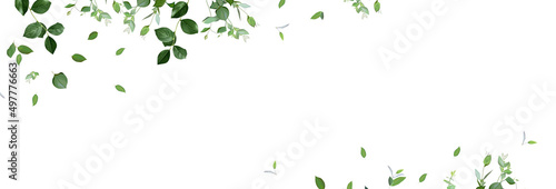 Herbal minimalist vector banner. Hand painted plants, branches, leaves on a white background