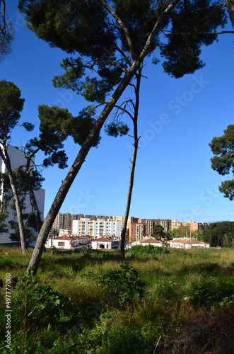 vista de la ciudad desde el extraradio, Tarragona (España)