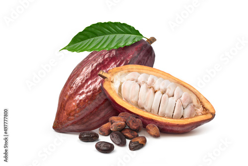 Fresh Cocoa pods with dried beans isolated on white background. photo