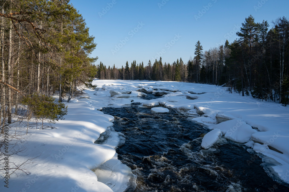 A River in a Snowy Forest A River in a Snowy Forest