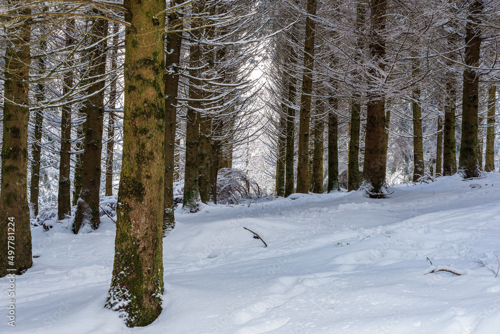 Fototapeta premium Snow over Urkiola natural park