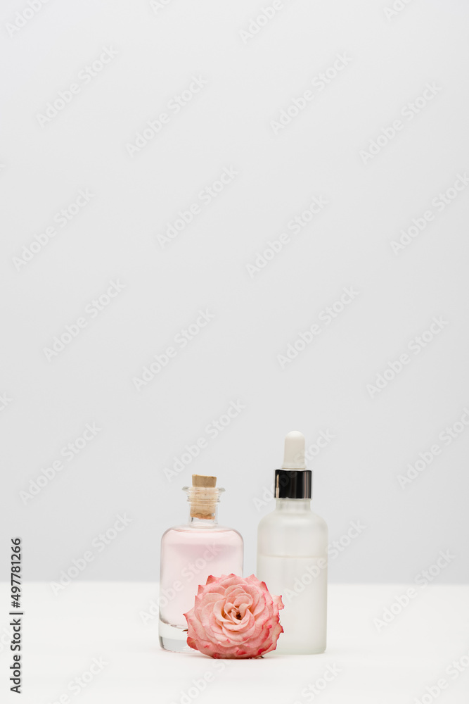 bottles with cosmetic products near pink blooming flower on white. bottles with cosmetic products near pink blooming flower on white.