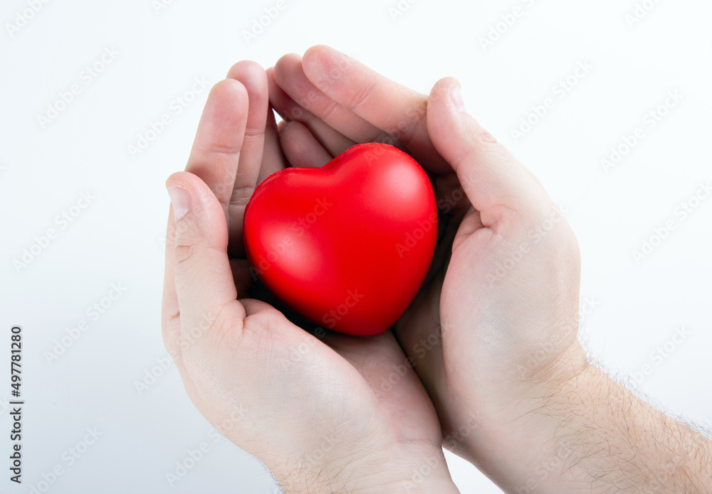 Fototapeta premium Large red heart in human hands closeup