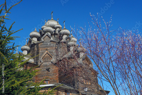 wooden domes of the Intercession Cathedral and blooming mimosa branches against the blue sky