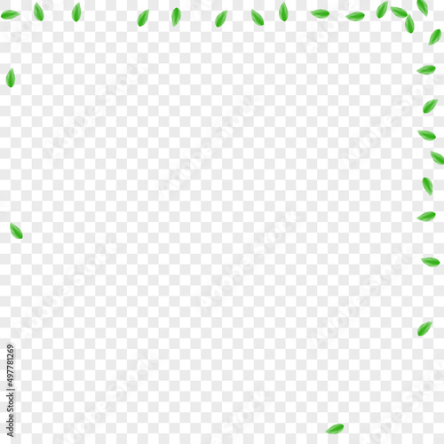 Greenish Plant Background Transparent Vector. Greenery Cosmetic Texture. Border Card. Green Isolate Design. Leaves Realistic.
