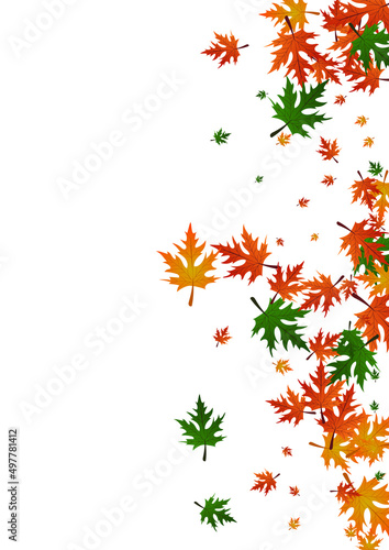 Wallpaper Mural Brown Leaf Background White Vector. Leaves Seasonal Design. Orange Paper. Realistic Frame. Red Maple Canadian. Torontodigital.ca