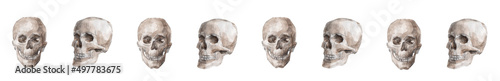 memento mori watercolor pattern of skulls