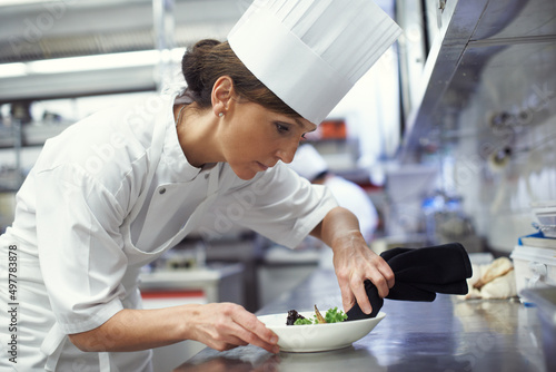 Chefs at work. Shot of a chef putting the final touches on a dinner plate in a professional kitchen.