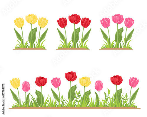 Tulips in green grass. Flower bed with red, yellow and pink spring flowers. Vector illustration in cartoon flat style.