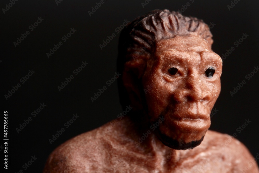 close up portrait of a primitive man doll on a black background