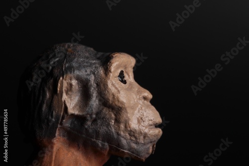 close up portrait of a primitive man doll on a black background © marco