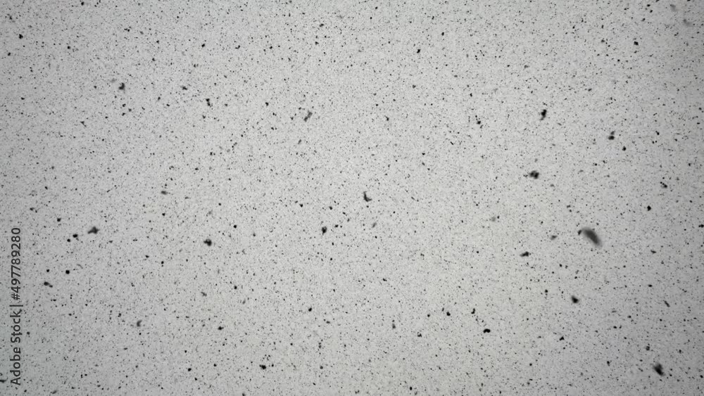 Falling black snow or ash . Shooting from below .4K. High quality 4k footage Falling black snow or ash . Shooting from below .4K. High quality 4k footage