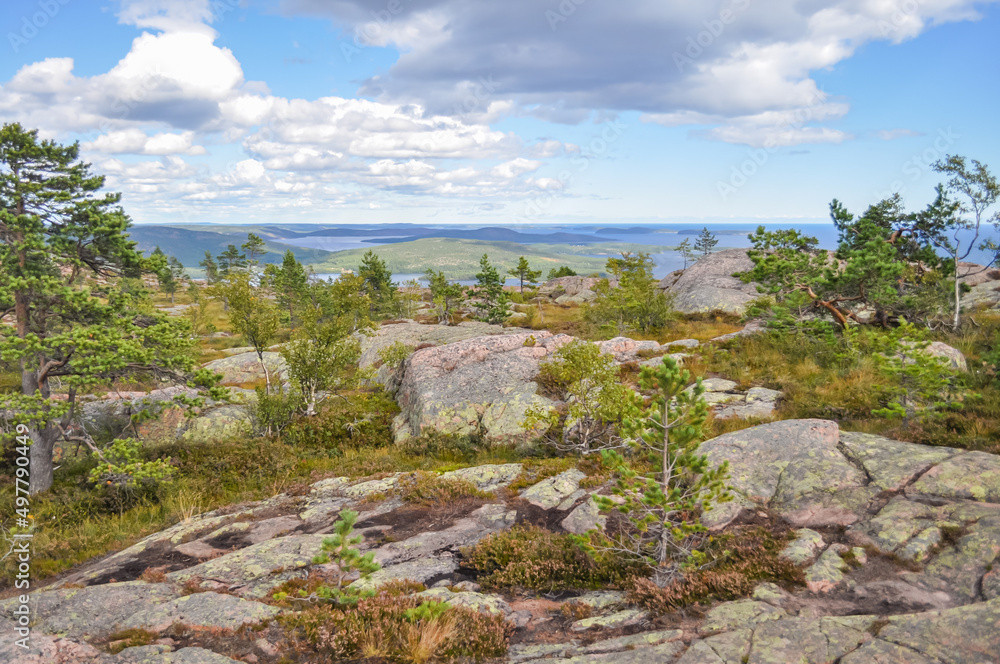 Hiking trail in Skuleskogen National Park, Sweden, near Tärnättvattnen lake on sunny summer day
