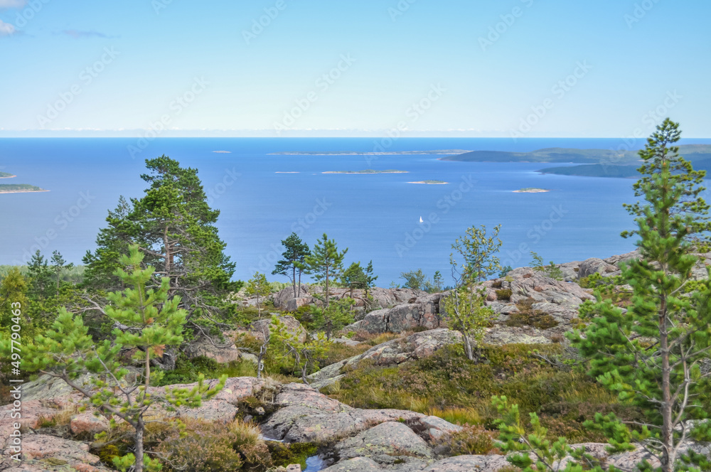 Hiking trail in Skuleskogen National Park, Sweden, near Tärnättvattnen lake on sunny summer day
