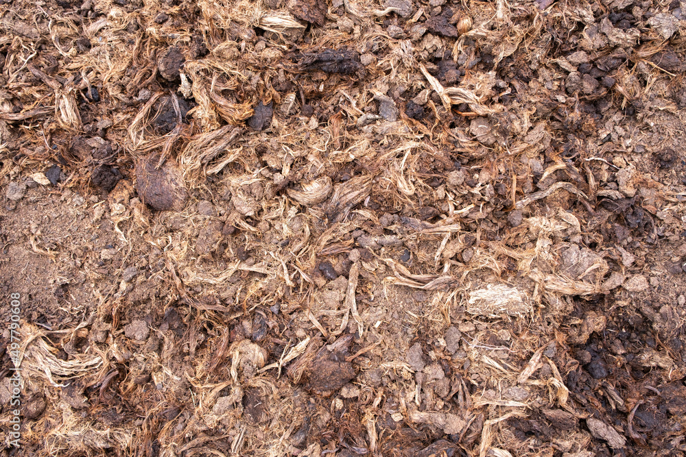 close up soil peat moss dirty background and texture close up soil peat moss dirty background and texture