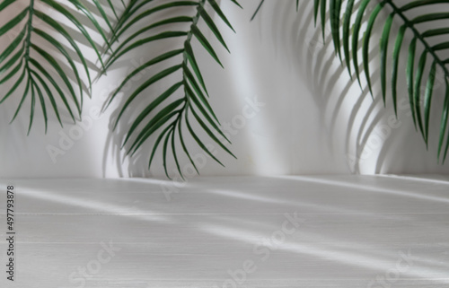 Palm branches and a wooden foreground, an empty place to place the product. Shop window.