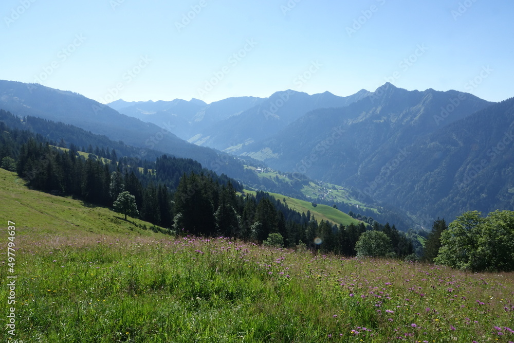 Fototapeta premium Auf dem Alpwegkopf