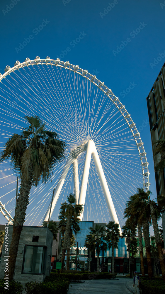 Schöne Ain Dubai Riesenrad Bilder