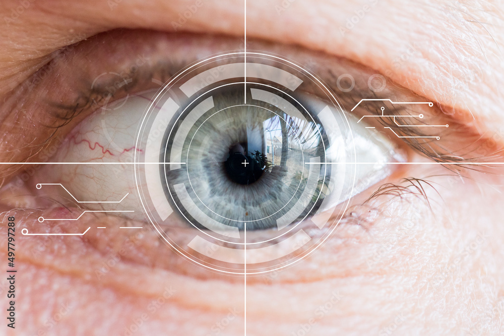 Eye virtual monitoring and eye scan. Biometric iris scan of male eye