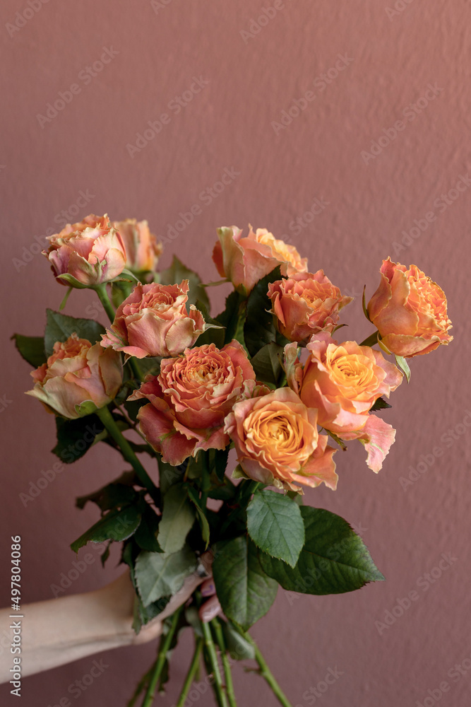 Bright orange peony rose country spirit louise on a terracotta background. Place for text