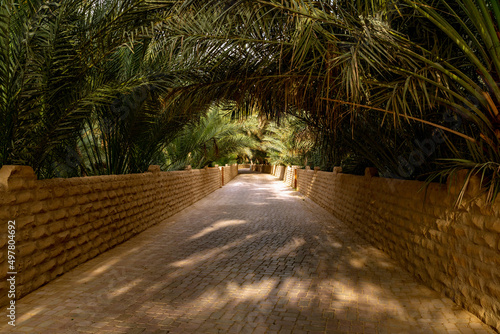 Al ain oasis with great shadows
