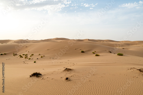 The desert of Abu Dhabi