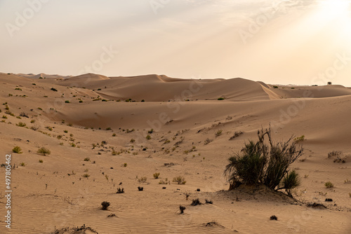 Sunset in the desert of Abu Dhabi