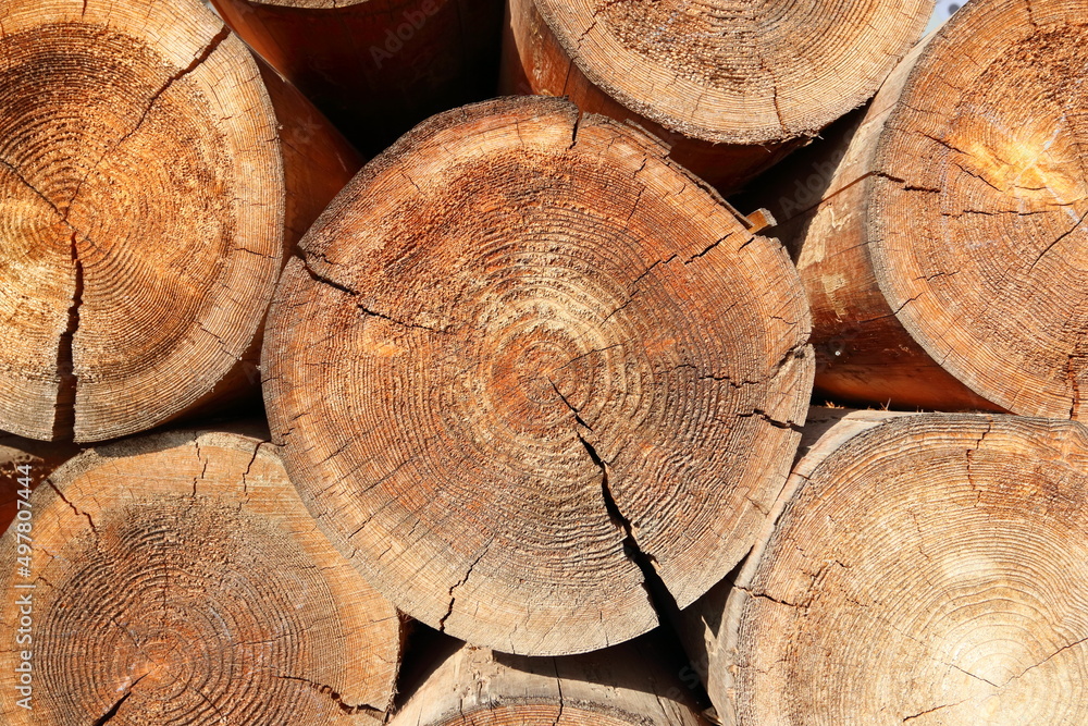 冬の暖炉ストーブの燃料 焚き木のクヌギの木
Winter fireplace stove fuel firewood oak tree 冬の暖炉ストーブの燃料 焚き木のクヌギの木
Winter fireplace stove fuel firewood oak tree