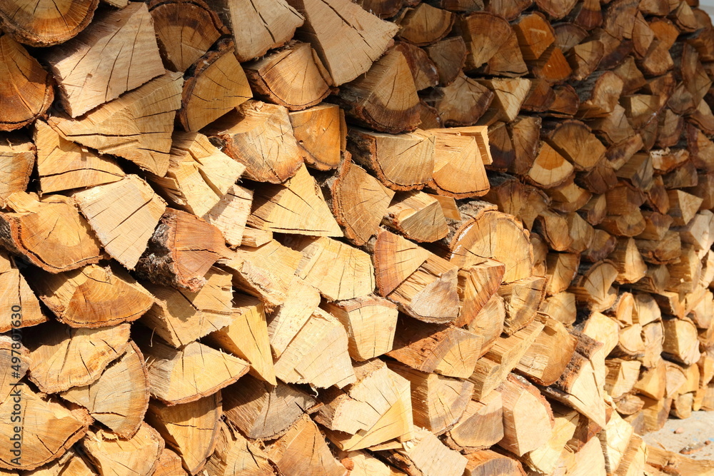 冬の暖炉ストーブの燃料 焚き木のクヌギの木
Winter fireplace stove fuel firewood oak tree 冬の暖炉ストーブの燃料 焚き木のクヌギの木
Winter fireplace stove fuel firewood oak tree