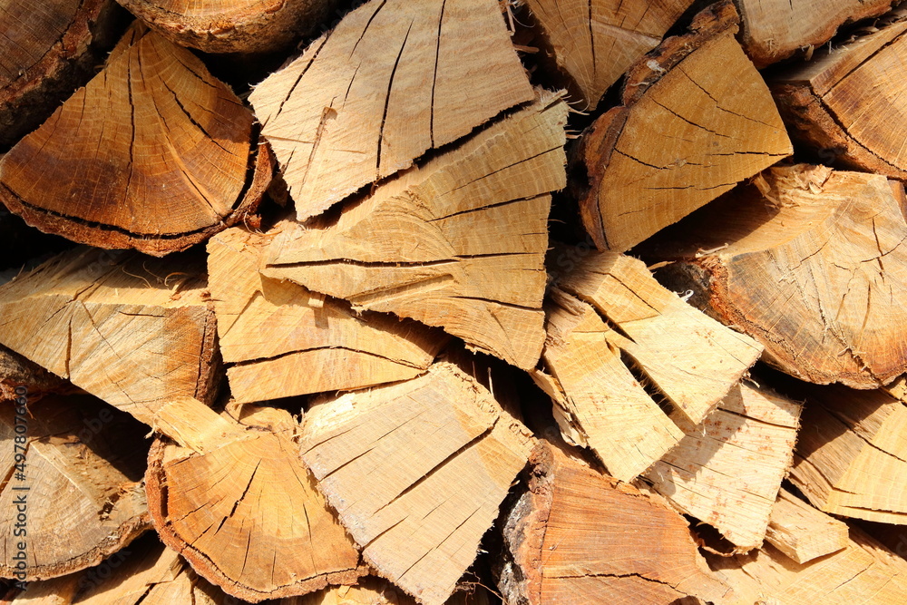 冬の暖炉ストーブの燃料 焚き木のクヌギの木
Winter fireplace stove fuel firewood oak tree 冬の暖炉ストーブの燃料 焚き木のクヌギの木
Winter fireplace stove fuel firewood oak tree