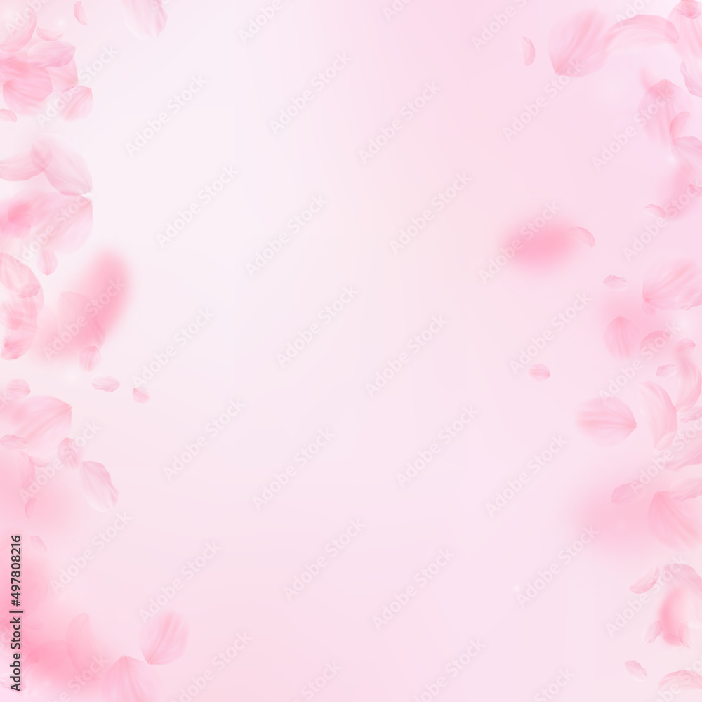 Sakura petals falling down. Romantic pink flowers borders. Flying petals on pink square background. Love, romance concept. Posh wedding invitation.