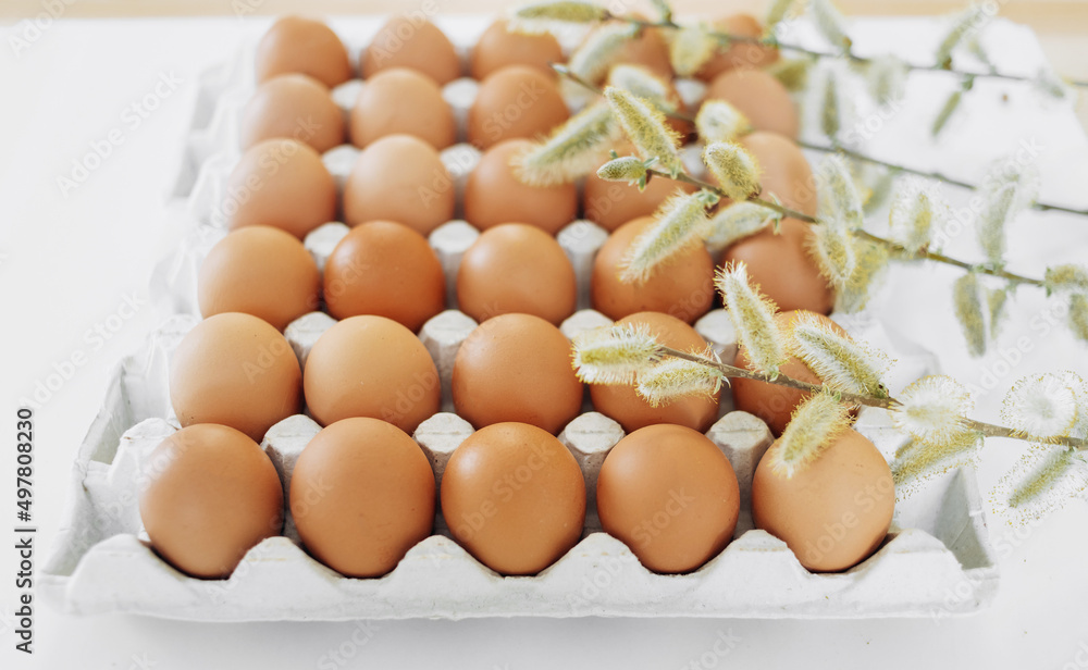 Chicken eggs in an egg carton with willow twig on a white background. Chicken eggs in an egg carton with willow twig on a white background.