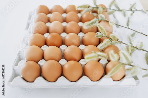 Willow branches and eggs lie in a cardboard tray on a white backround.