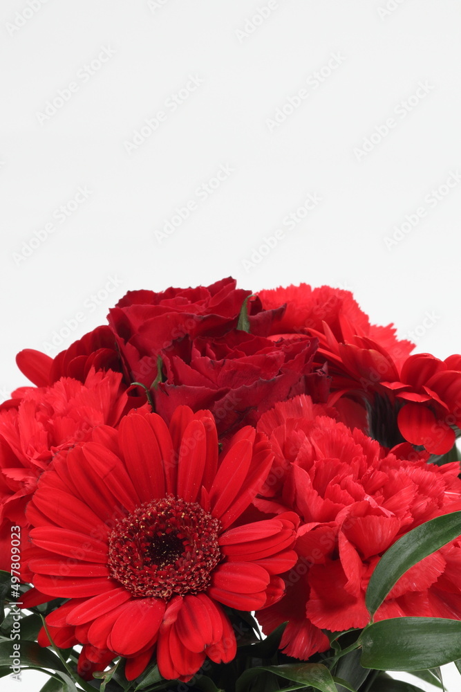 母の日 花の贈り物 カーネーション バラ ガーベラMother's Day Flower Gift Carnation Rose Gerbera 母の日 花の贈り物 カーネーション バラ ガーベラMother's Day Flower Gift Carnation Rose Gerbera