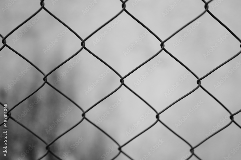 fence fence